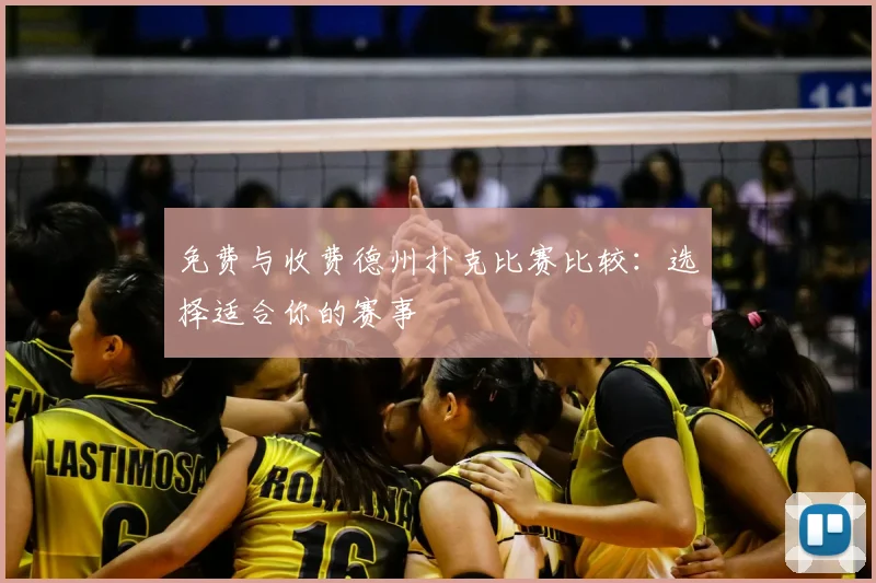 免费与收费德州扑克比赛比较:选择适合你的赛事