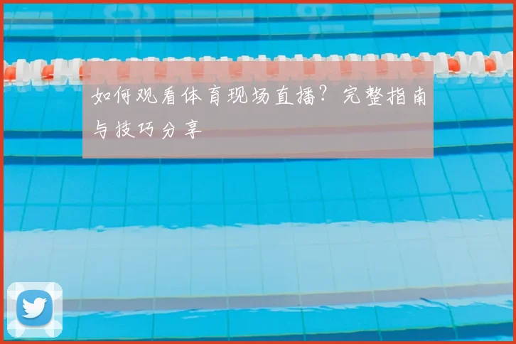 如何观看体育现场直播？完整指南与技巧分享