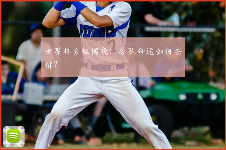 世界杯分组揭晓：各队命运如何安排？