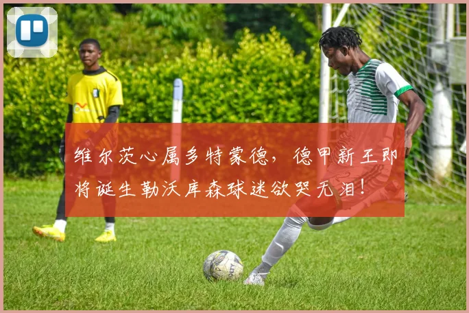 维尔茨心属多特蒙德,德甲新王即将诞生勒沃库森球迷欲哭无泪!
