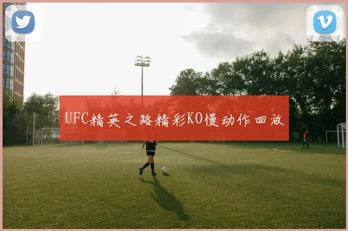 UFC精英之路精彩KO慢动作回放