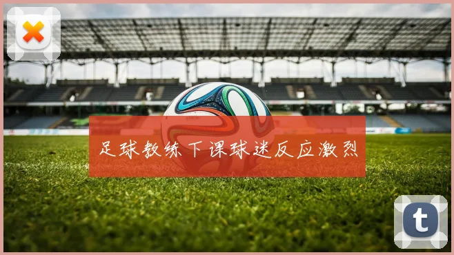足球教练下课球迷反应激烈