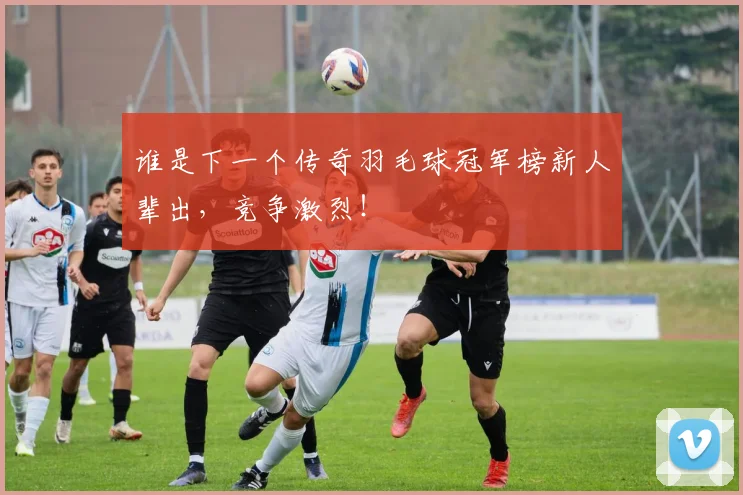 谁是下一个传奇羽毛球冠军榜新人辈出,竞争激烈!