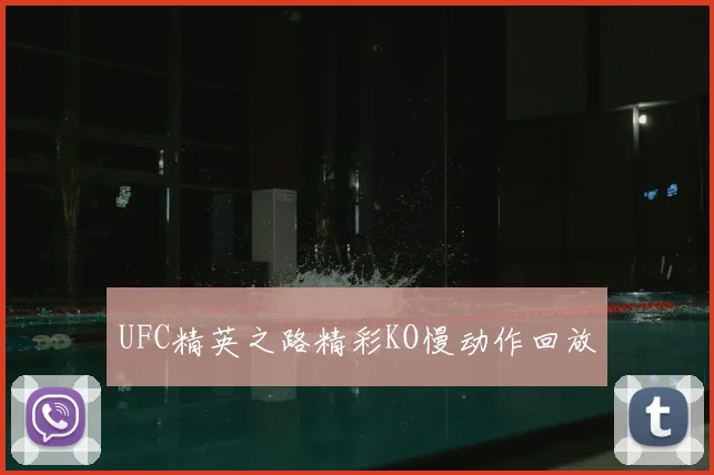 UFC精英之路精彩KO慢动作回放