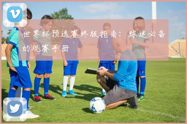 世界杯预选赛终极指南：球迷必备的观赛手册