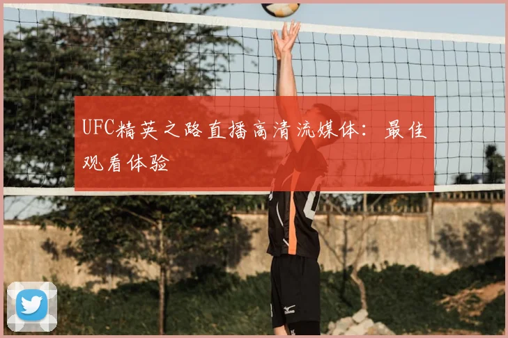 UFC精英之路直播高清流媒体:最佳观看体验