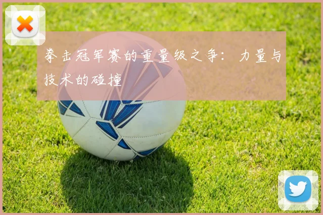 拳击冠军赛的重量级之争：力量与技术的碰撞
