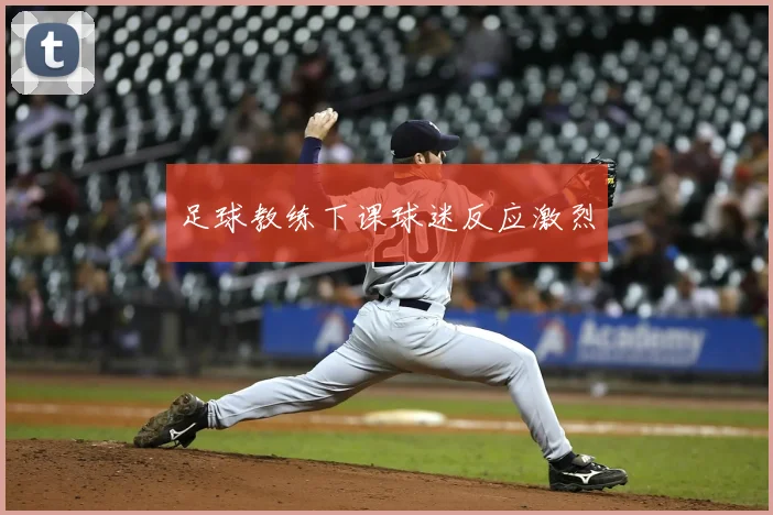 足球教练下课球迷反应激烈