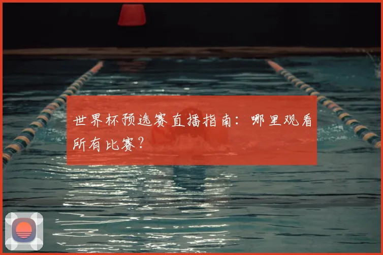 世界杯预选赛直播指南：哪里观看所有比赛？