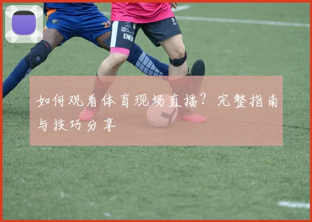 如何观看体育现场直播？完整指南与技巧分享