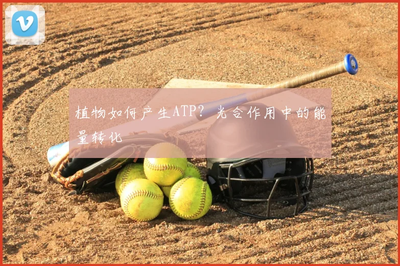 植物如何产生ATP?光合作用中的能量转化
